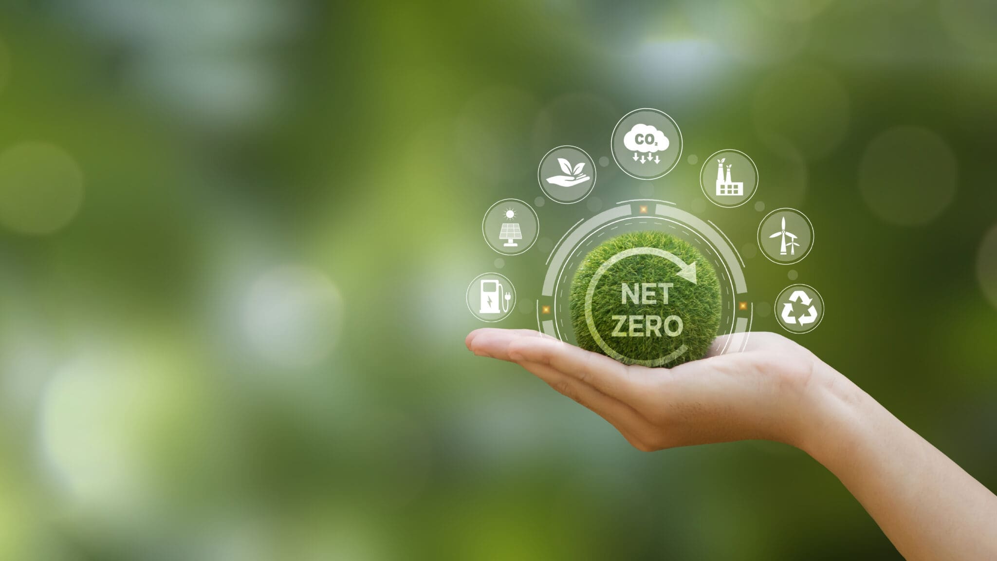 Hand of human holding green earth with green net zero icon. Net zero and carbon neutral concept. Net zero greenhouse gas emissions target. Climate neutral long term strategy.