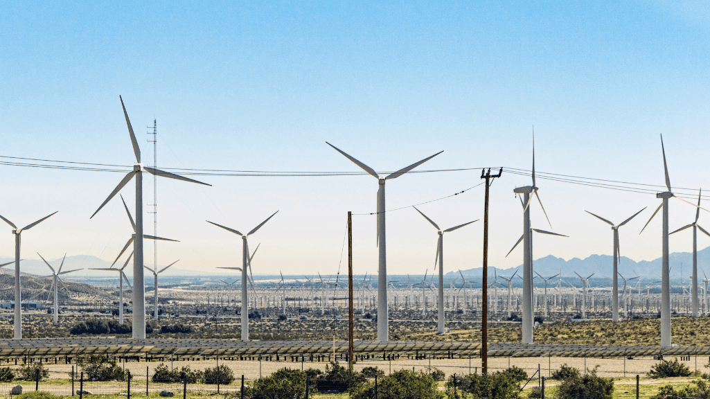 Critical Materials Shortages and Renewable Infrastructure Whitepaper: