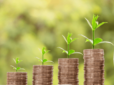 Stacks of coins with green shoots sprouting from the top of each
