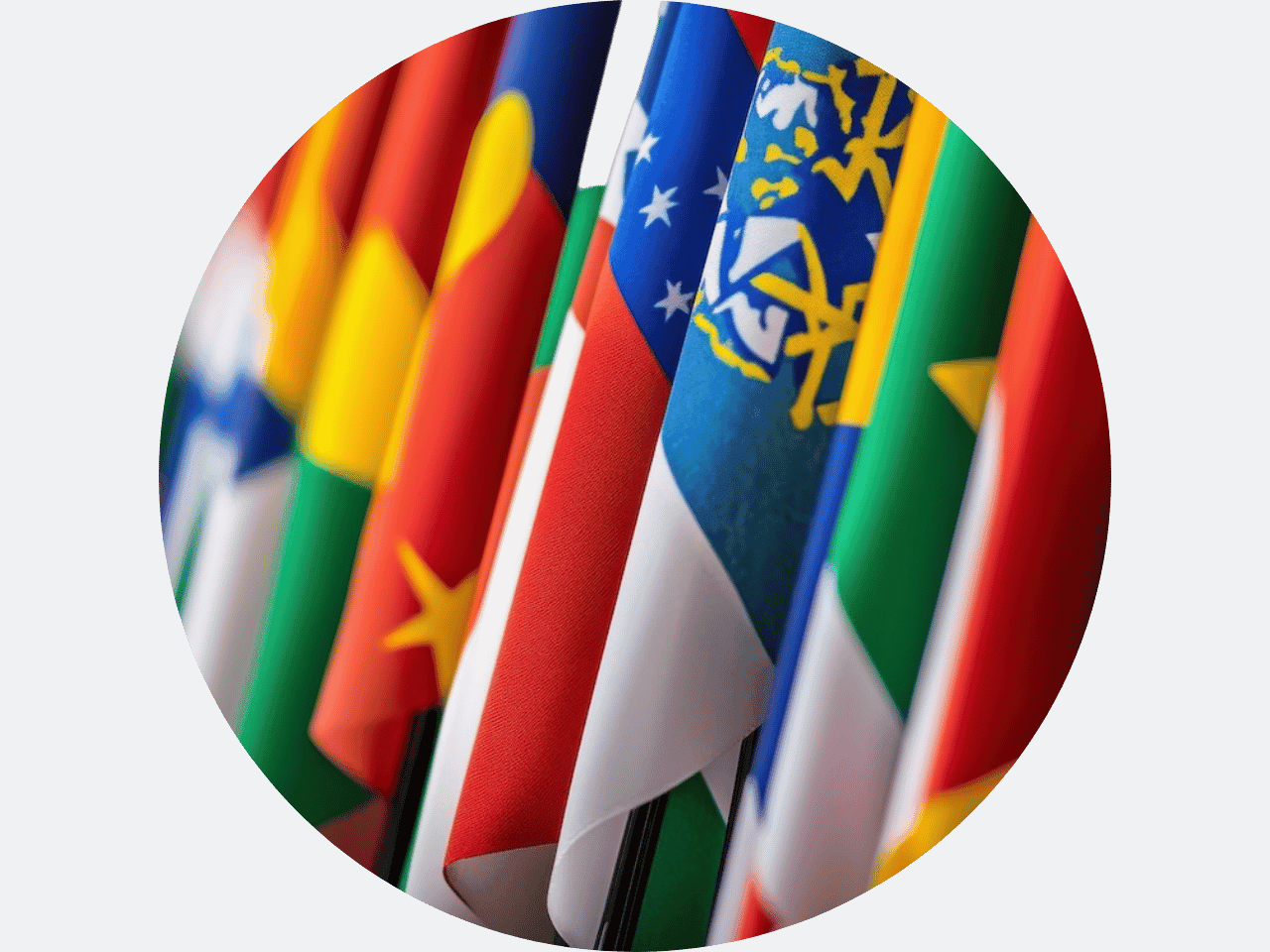 World Flags in a circle