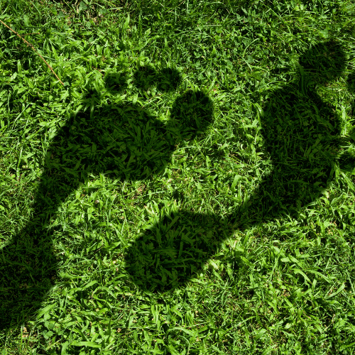 E-Learning Course: Carbon Reduction and Achieving Net Zero