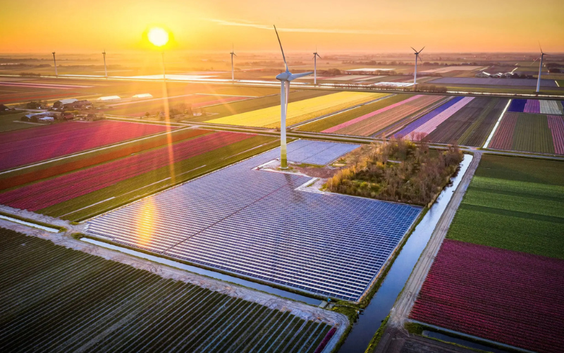 Solar farm at sunset