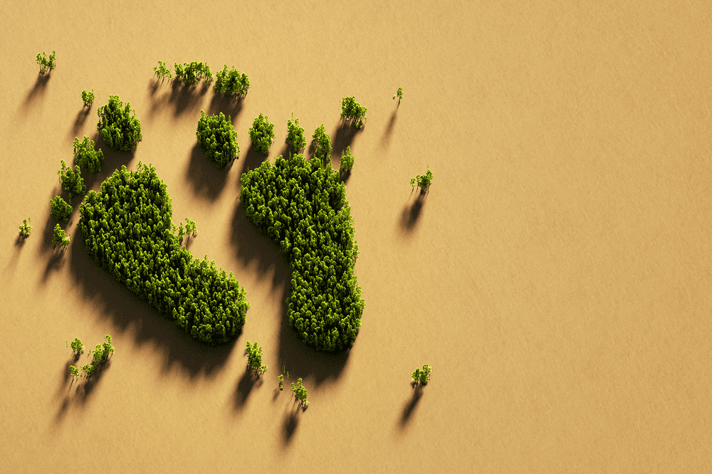 How Achilles Carbon Accounting Helps Businesses Meet their Carbon Goals