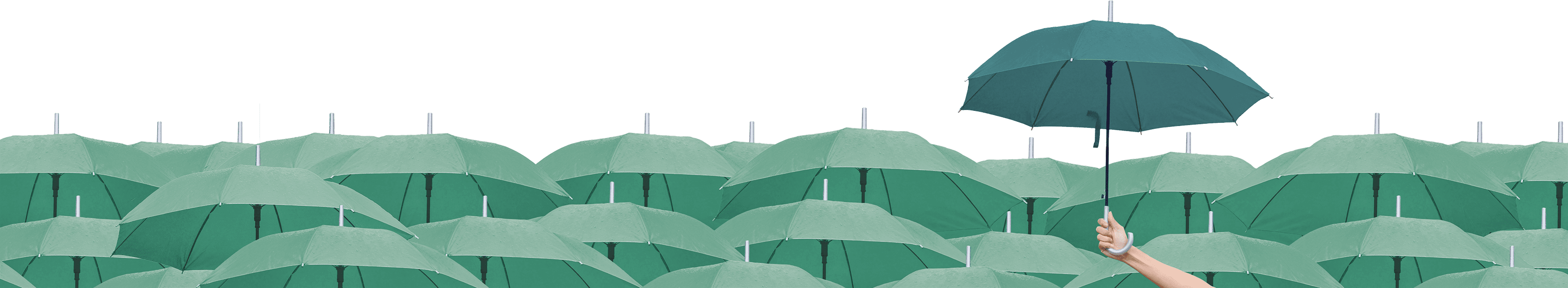 Defining and Driving a World-class Supplier Risk Management Program