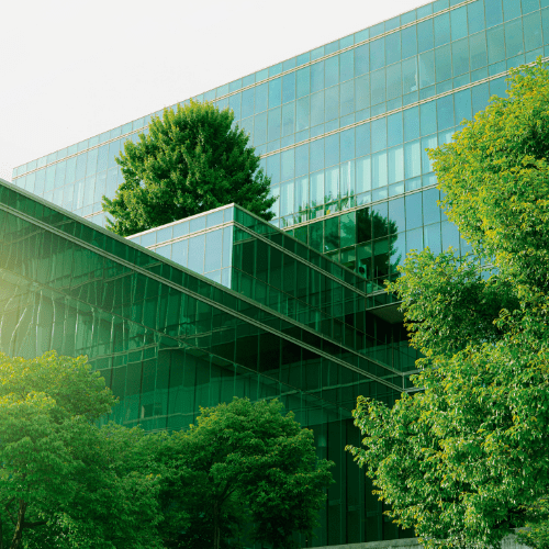 Buildings surrounded by green trees