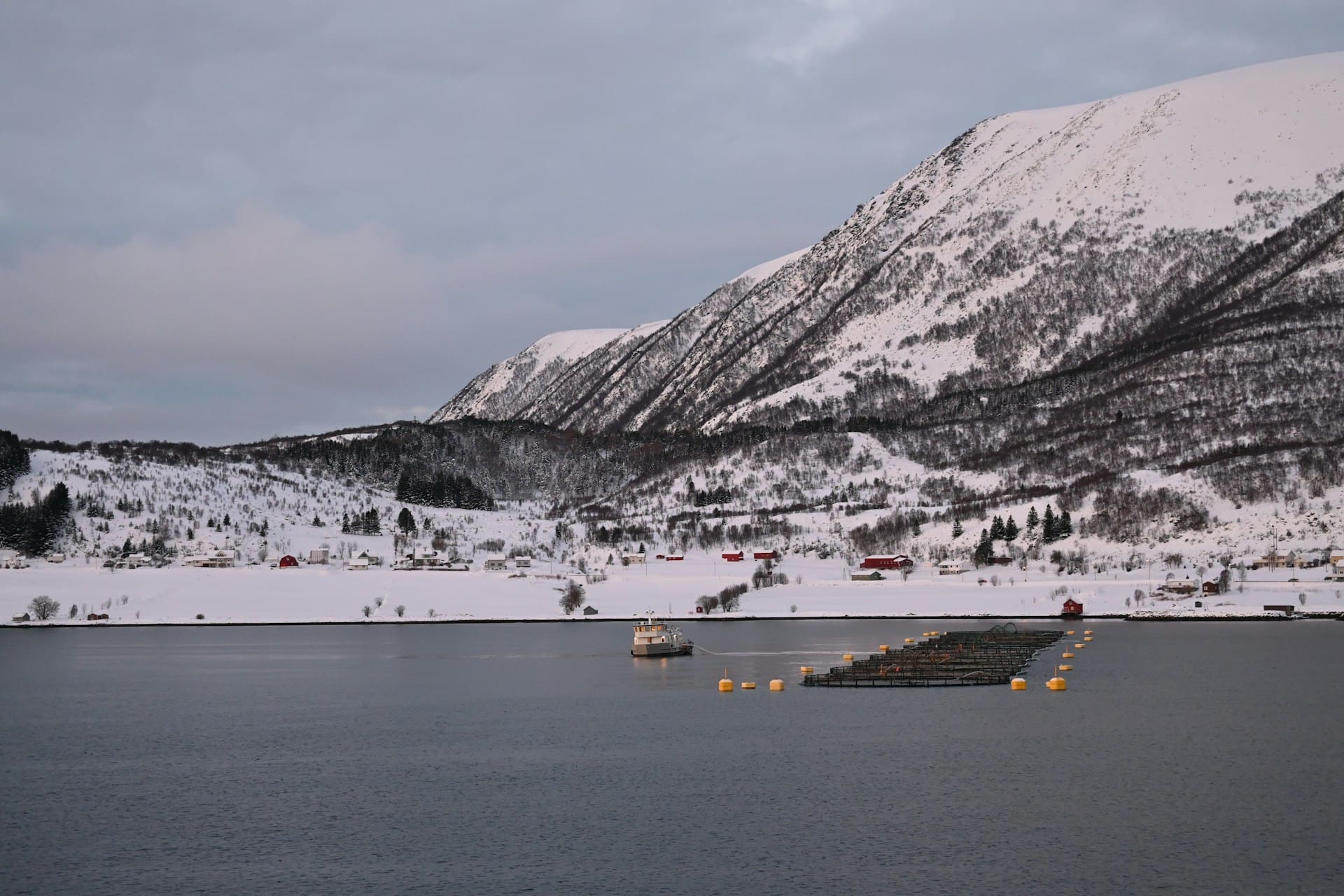 Landscape image, showing the ocean in the foreground, a fish trawler and some nets. It is Aquafarming in Norway. In the background there are some snow covered mountains and trees. It it in Northern Norway.