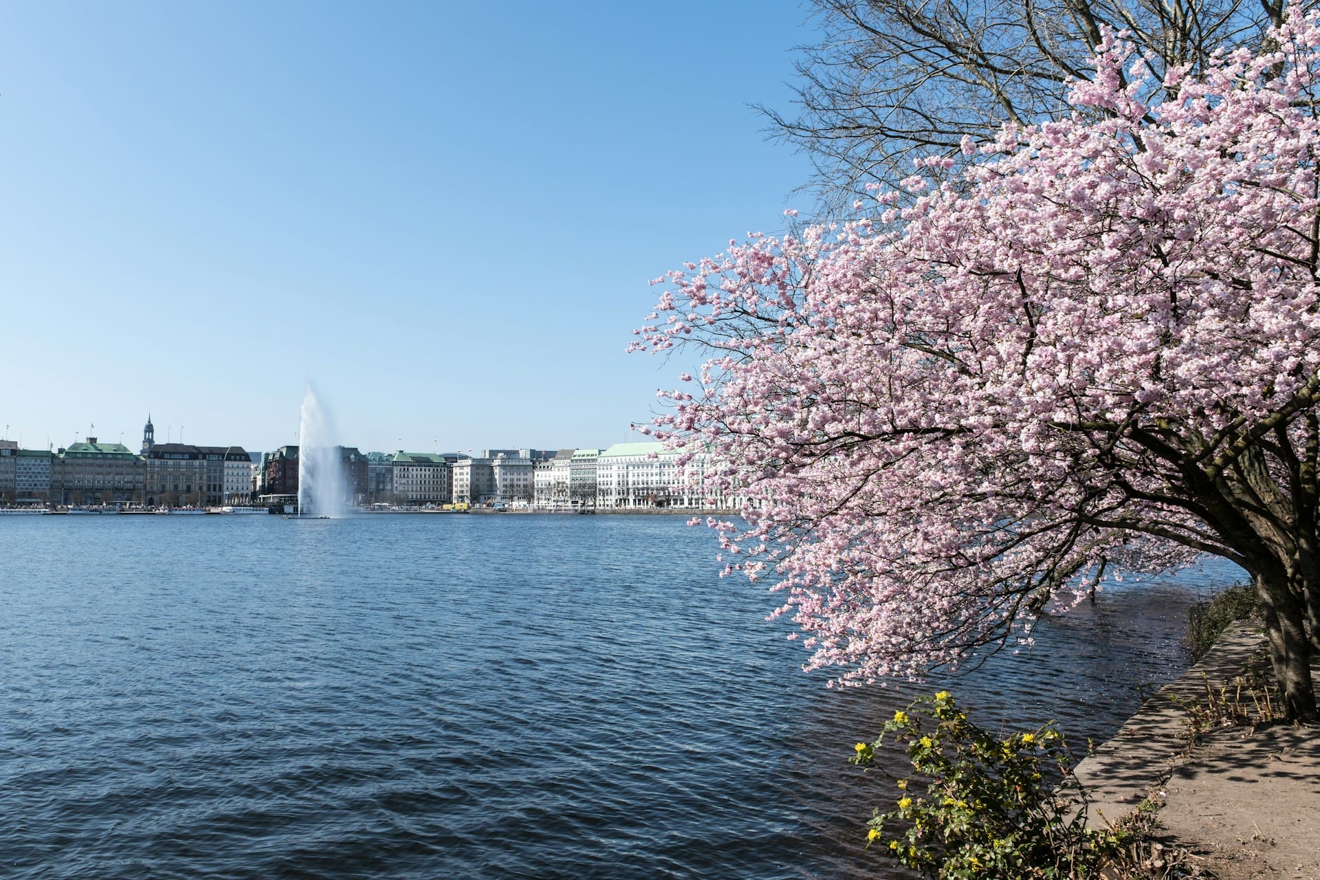 Hamburg votes for net zero 2040: Accelerating Climate Ambition and the Supply Chain Reality Check