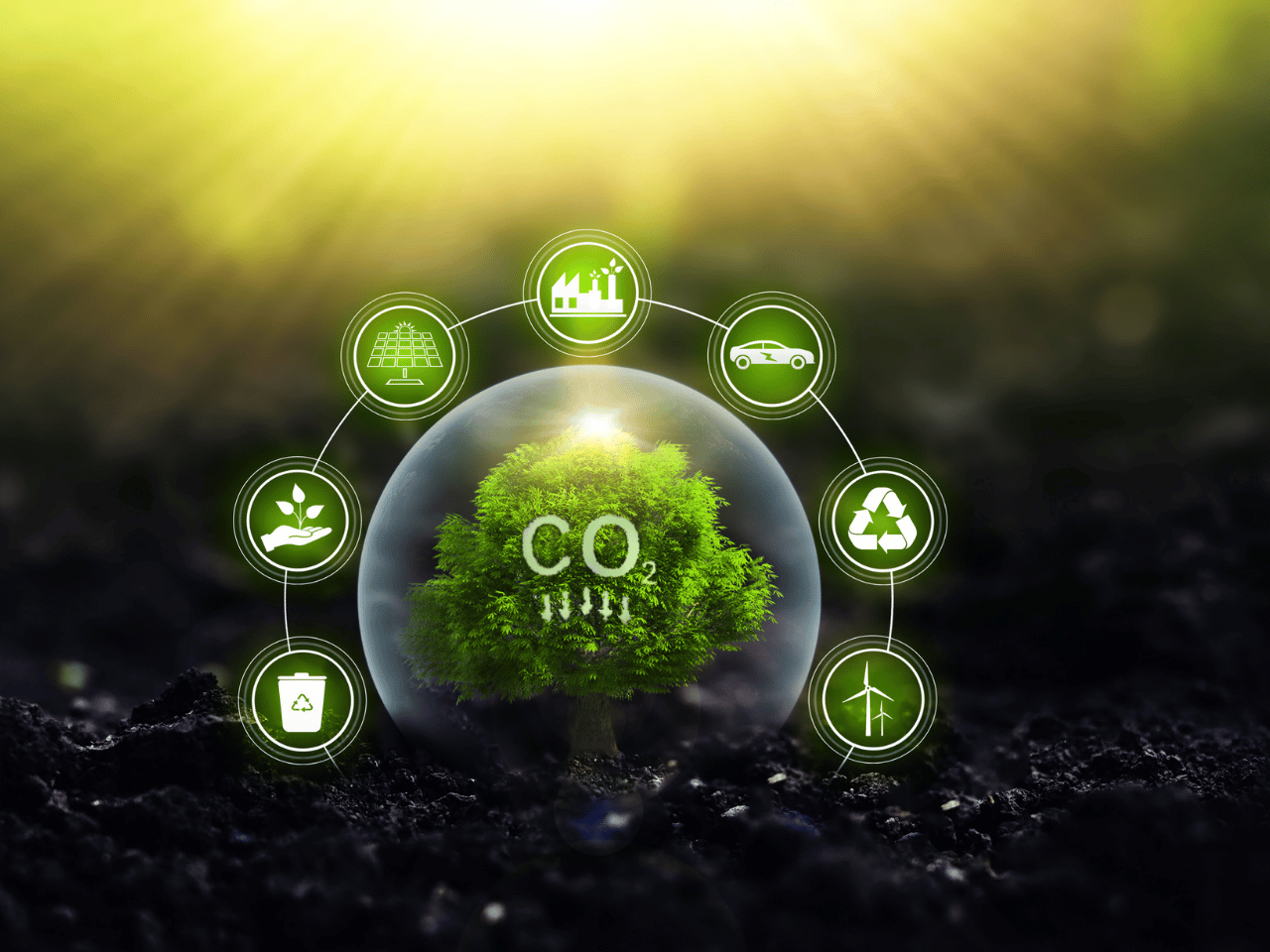 SBTi V2.0 in Australia: What Companies Need to Know