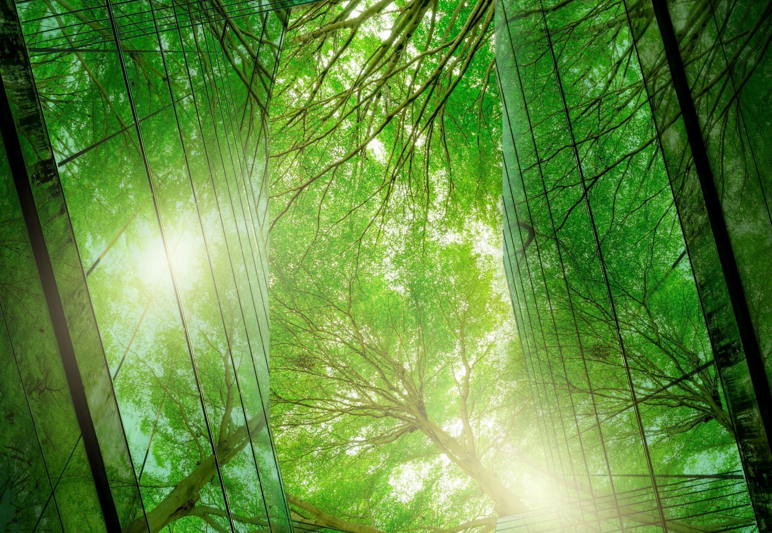 Protect your business from ESG Risk