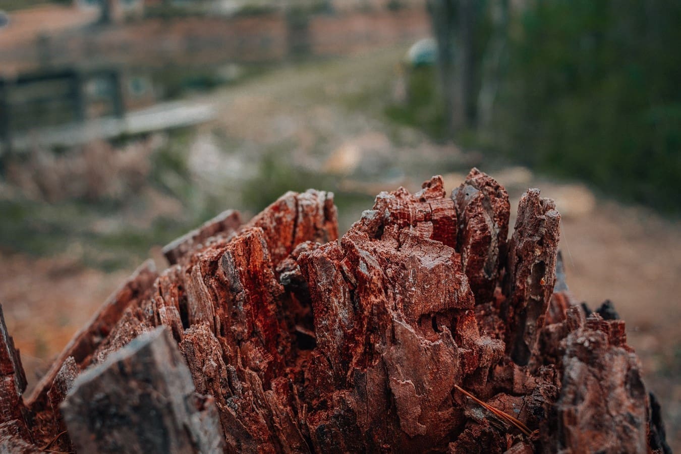 Perguntas frequentes sobre minerais de zonas de conflito