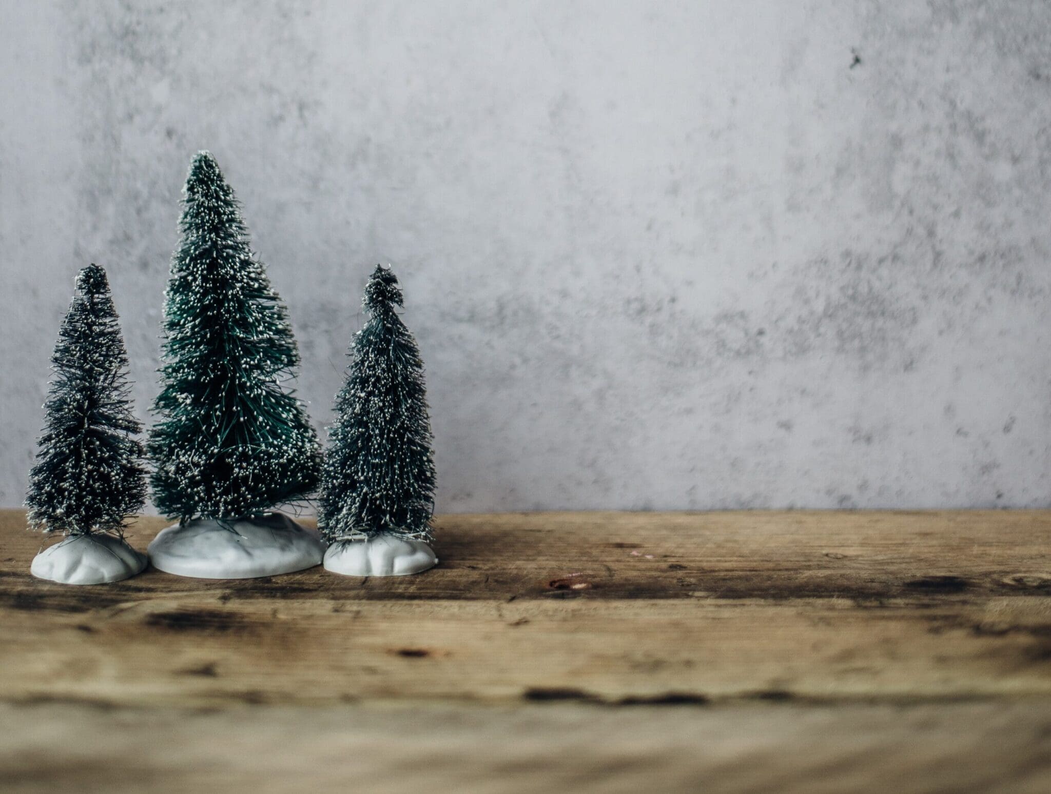 It’s Beginning to Look a Lot Like a Sustainable Christmas