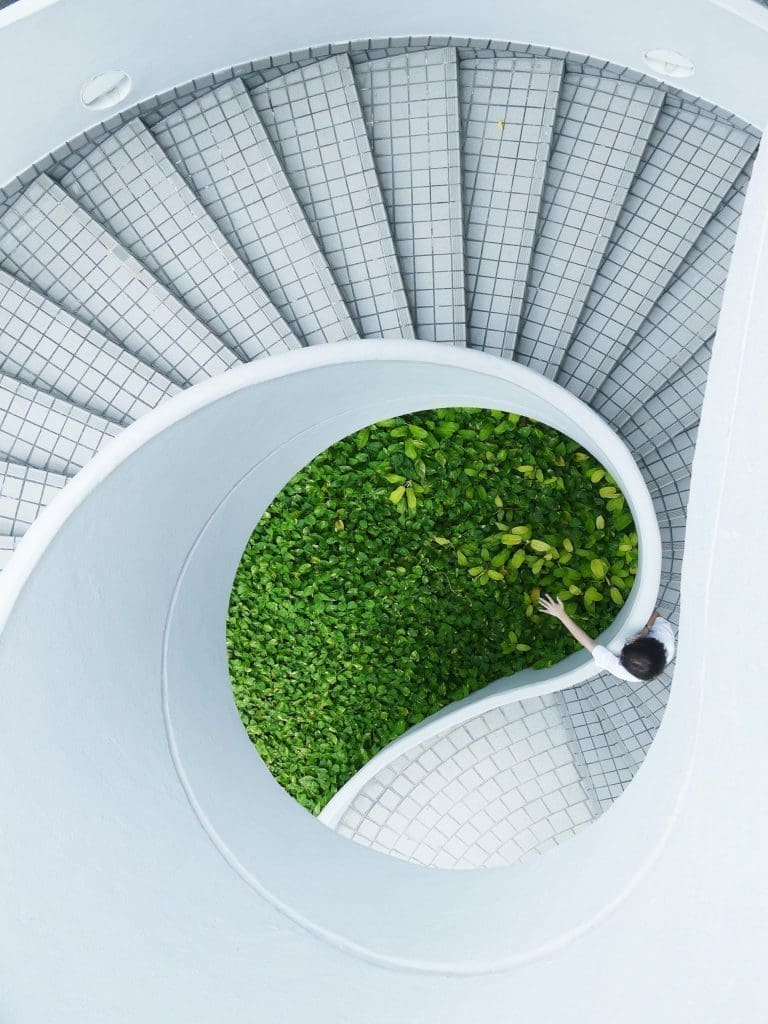 green grass at the bottom of stairs