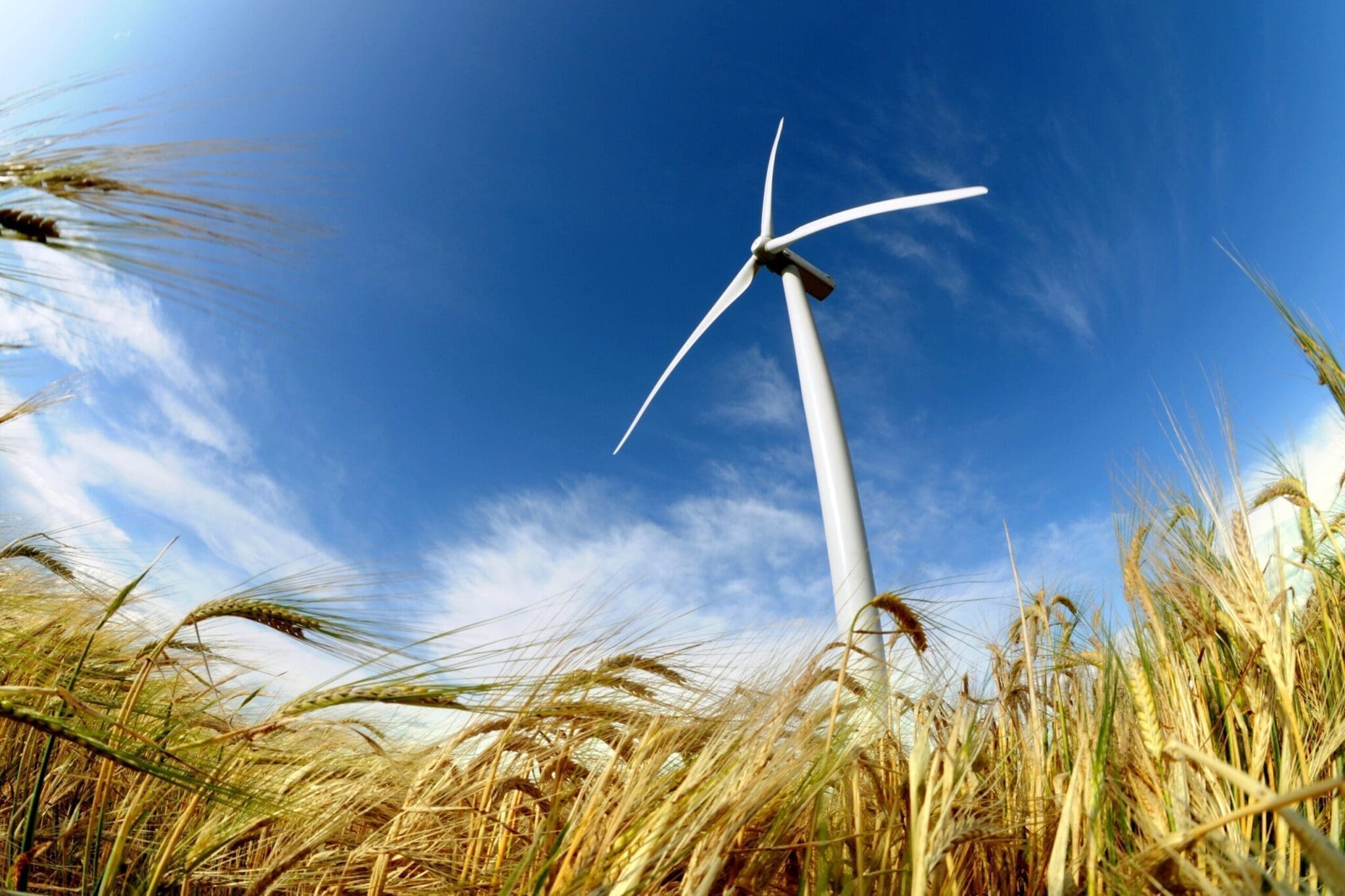 Vientos de cambio en el sector energético