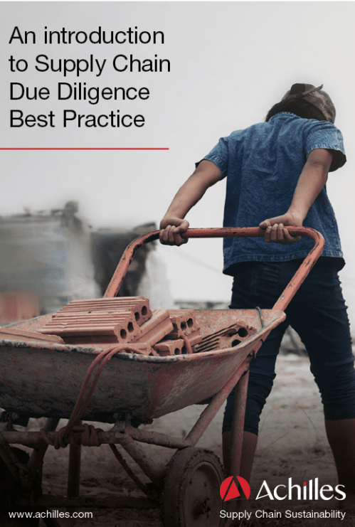 White Paper: An introduction to Supply Chain Due Diligence Best Practice