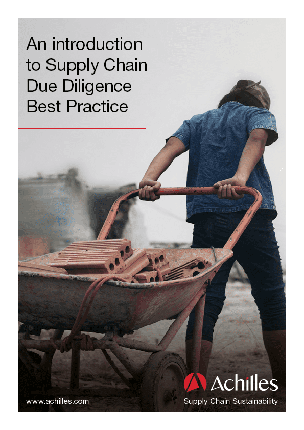 White Paper: An introduction to Supply Chain Due Diligence Best Practice