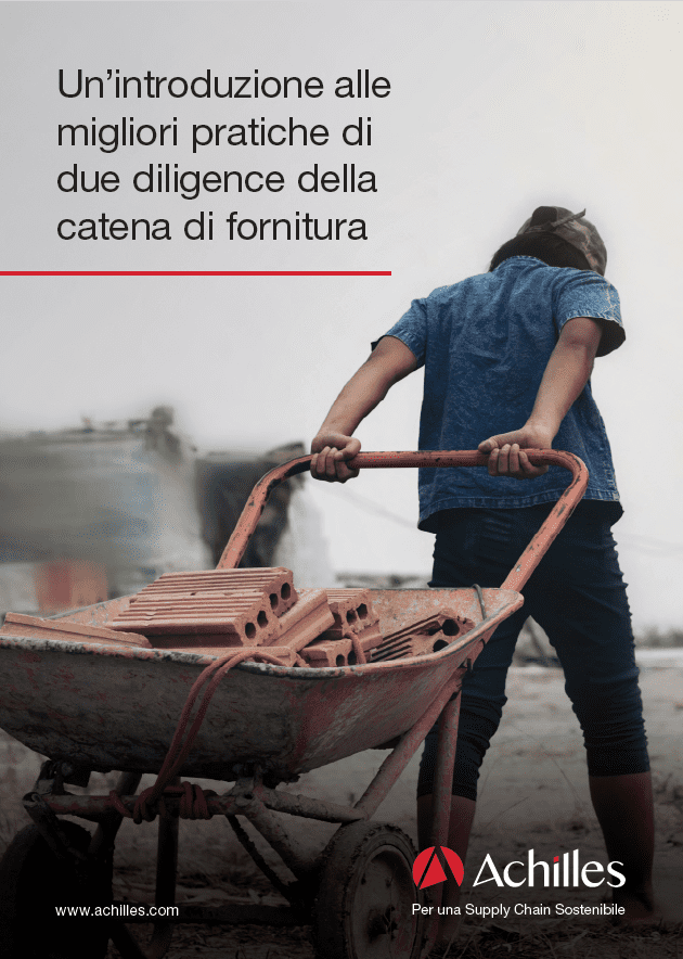 Introduzione alle migliori pratiche di due diligence nella supply chain