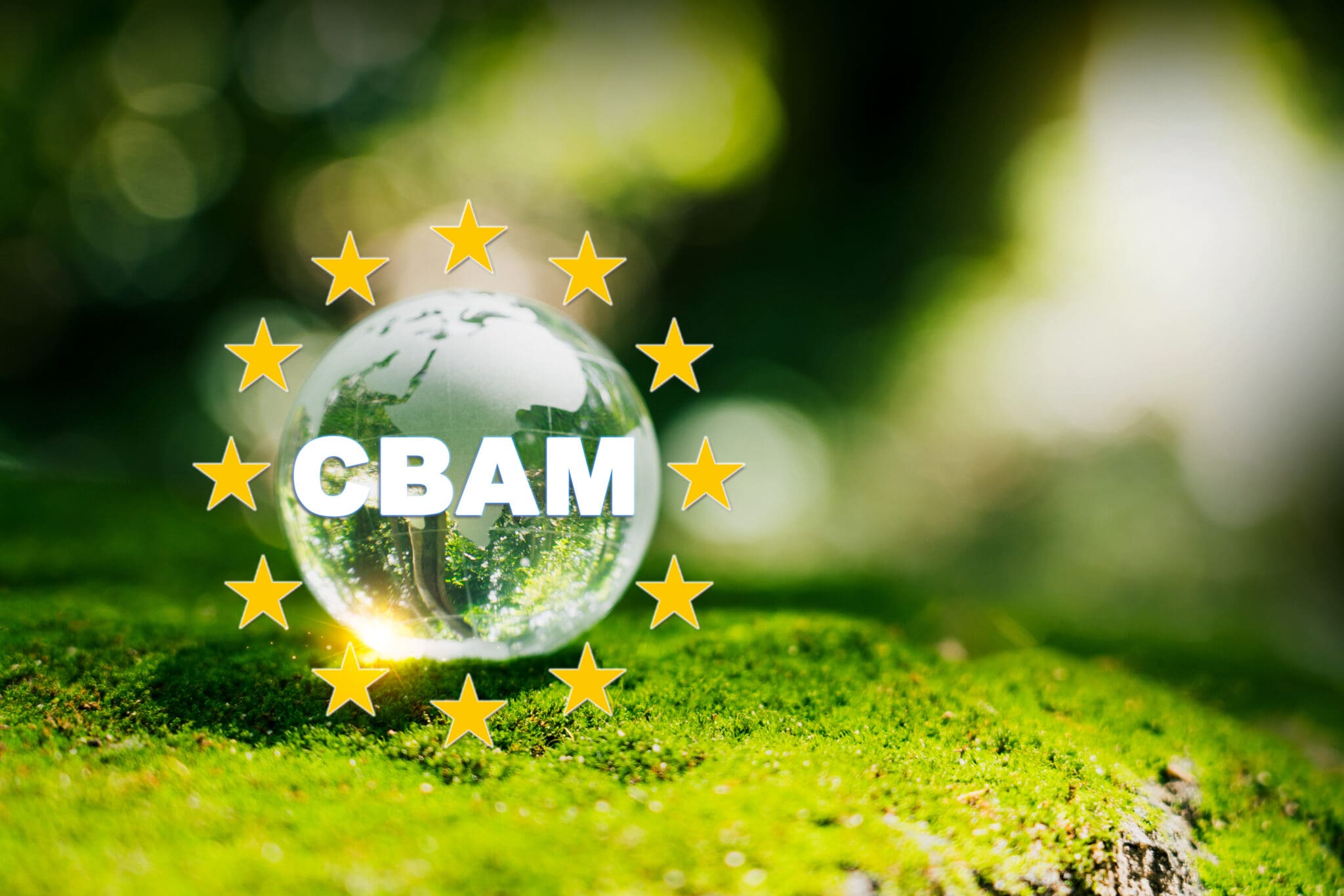 Carbon Border Adjustment Mechanism (CBAM) 