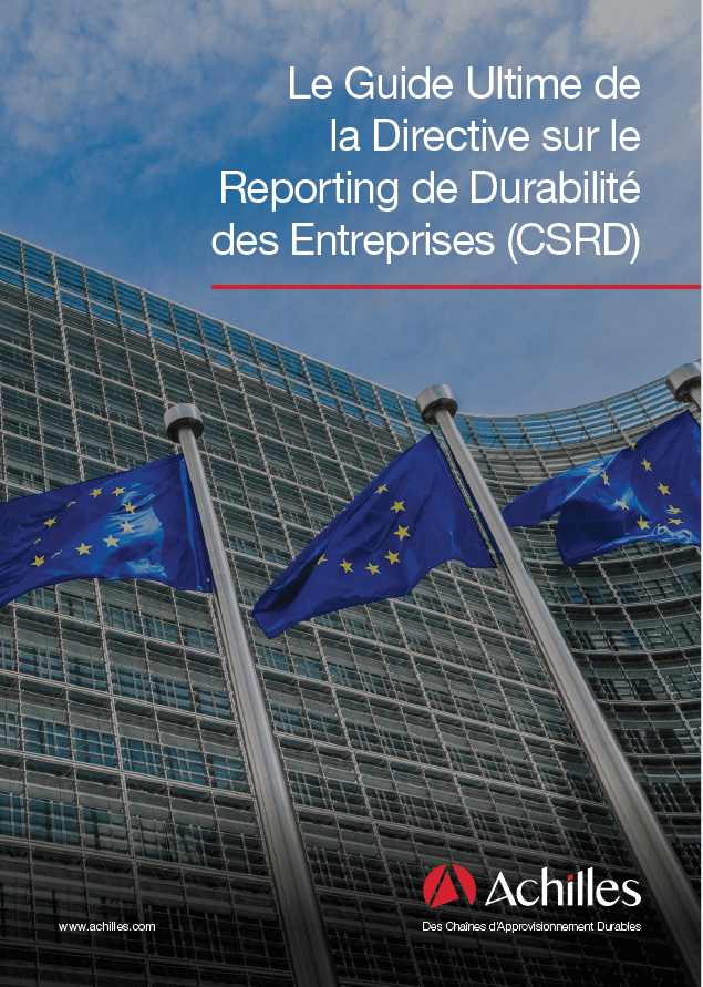 Guide de la Directive sur le Reporting de Durabilité des Entreprises (CSRD)
