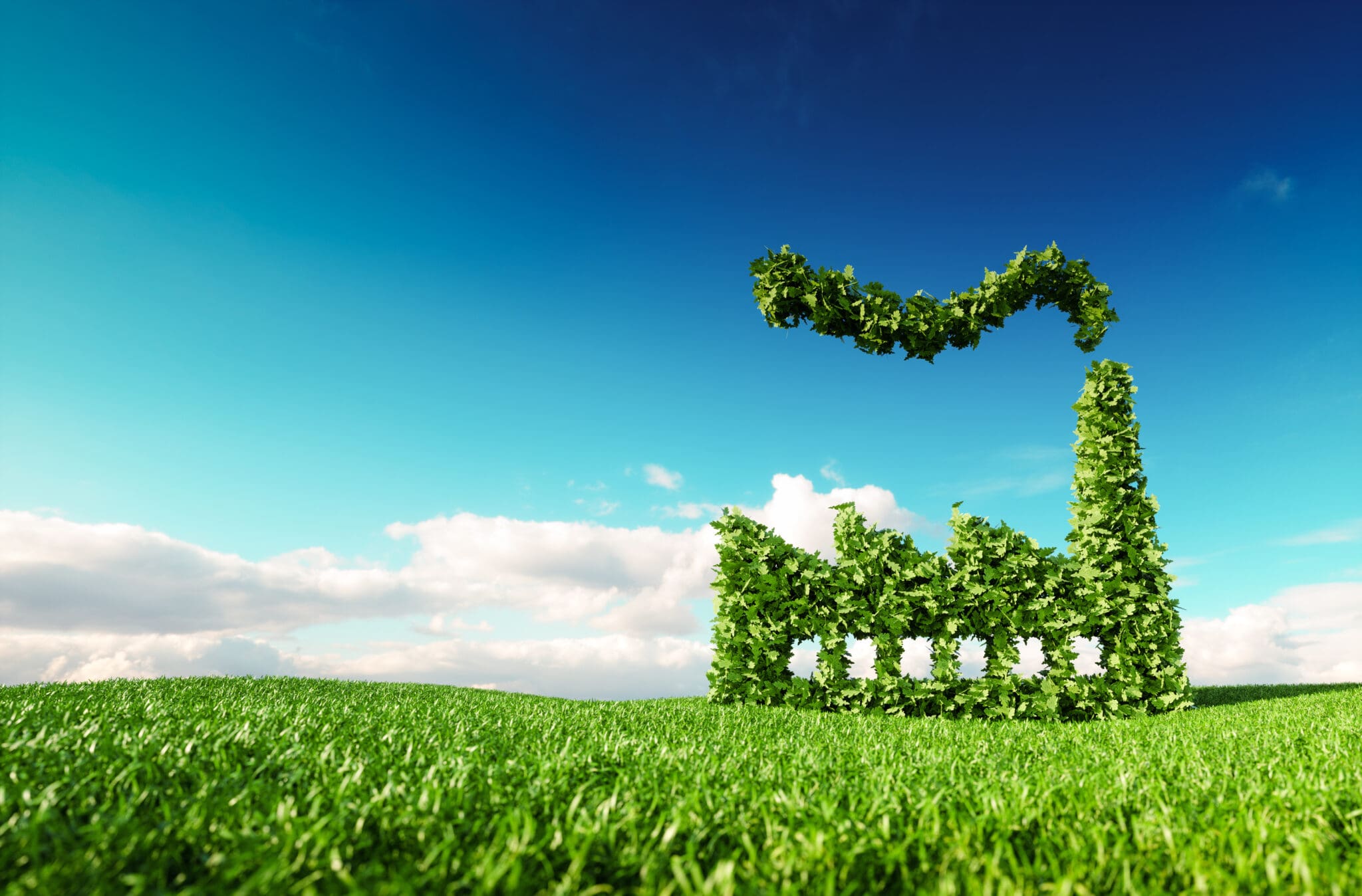Brilliant ways to improve your sustainability credentials and grow your business